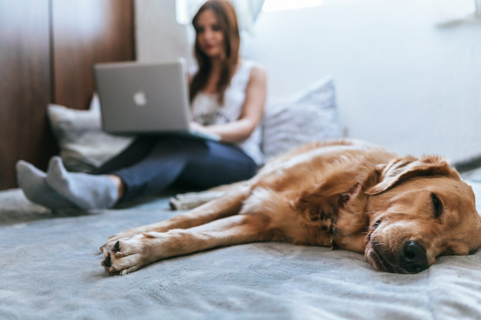 remote work at MOSTLY AI